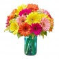 Gerberas Flower in Vase