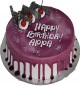 500gms Blue Berry Cake