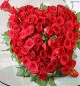 Heart Shape Red Roses Bouquet 