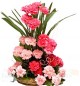 Mix Carnations Bouquet