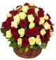 50 White n Red Roses