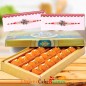 500gms ghee laddu sweet box and Designer Rakhi