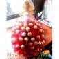 barbay dool ferroche chocolate bouquet