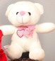 Small Teddy Bear
