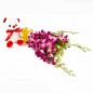 6 purple orchids with teddy