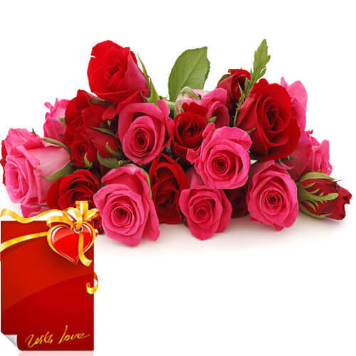 Bunch of 15 Red Pink Roses with Greeting Card 