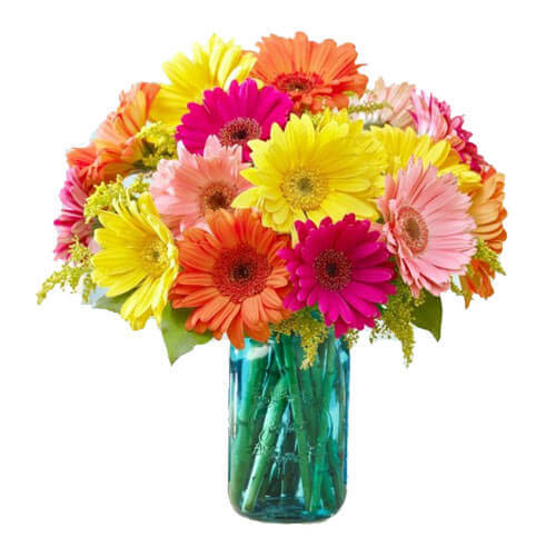 Gerberas Flower in Vase