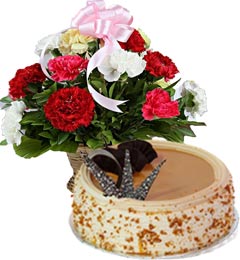 Eggless Butterscotch Cake Half Kg n Carnations Basket