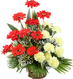 Yellow Carnation Red Gerbera Bouquet