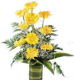 Yellow Gerbera Vase