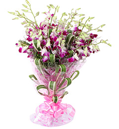 5 Orchid Bunch