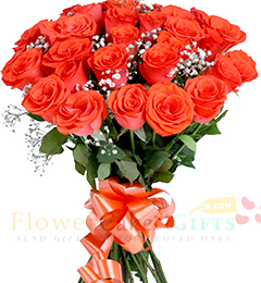 20 Orange Roses 