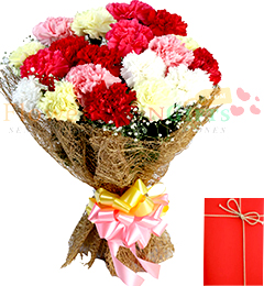 Bouquet of 15 mix carnations