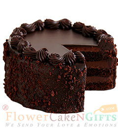 Just Baked Choco Chip Cake