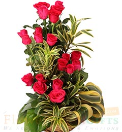 Red Roses Bouquet