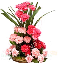 Mix Carnations Bouquet