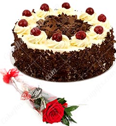 1 Red Roses Flower n Eggless Black Forest Cake Half Kg