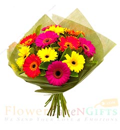 10 Gerberas Bouquet