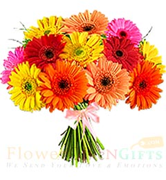 12 Gerberas Bouquet