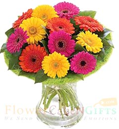 12 Gerberas Flower vase