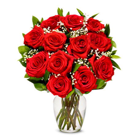 12 red roses in a vase