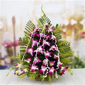  Designer Orchids Flower Basket