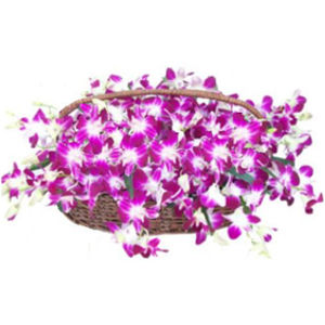 50 Purple Orchids in a Basket