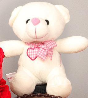 Small Teddy Bear